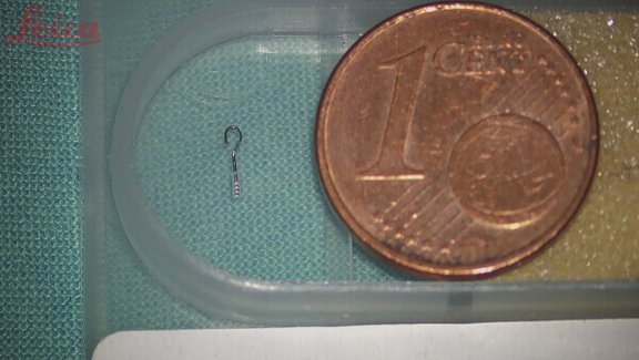 Hier erkennt man die Größe einer Stapesprothese im Verhältnis zu einer 1 Cent Münze