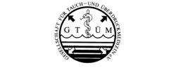 logo-gt-m.png 